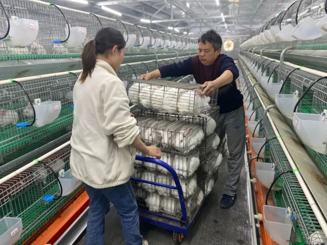 js3333线路检测中心(中国)有限公司